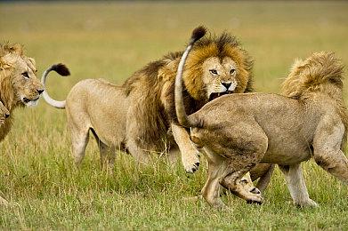 《暗区突围：无限》国服定档4月29日上线 六年磨一剑