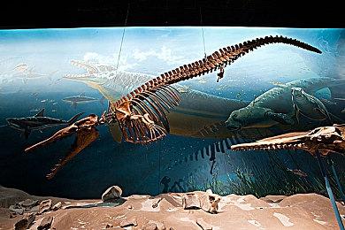 《尼尔》销量突破新纪录 总监横尾太郎发文感谢玩家